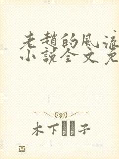 老赵的风流人生小说全文免费阅读