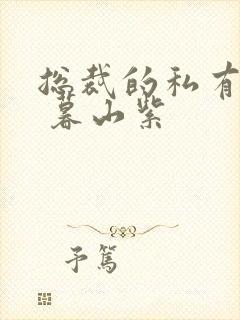 总裁的私有宝贝 暮山紫