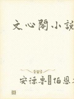 文心阁小说