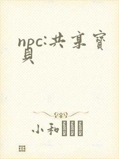npc:共享宝贝