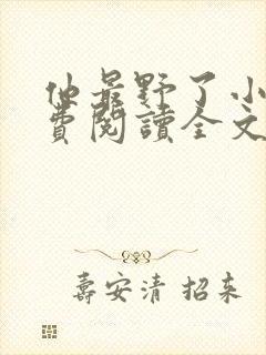 他最野了小说免费阅读全文