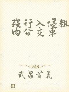 强行入侵粗暴h肉公交车