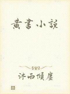 黄书小说