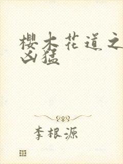 樱木花道之重生凶猛