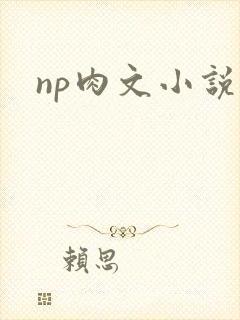 np肉文小说