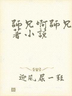 师兄啊师兄的原著小说