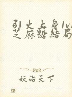 引火上身1v1芝麻糖结局