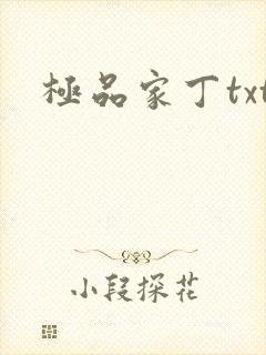 极品家丁txt