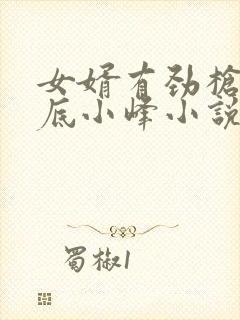 女婿有劲枪枪到底小峰小说