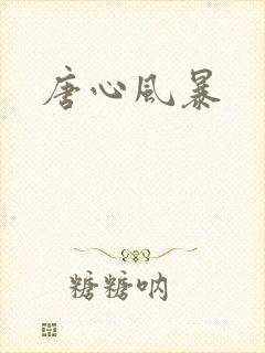 唐心风暴