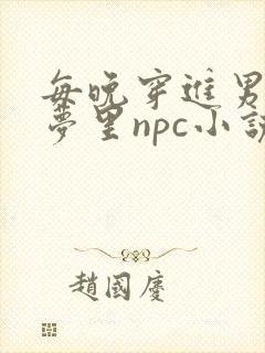 每晚穿进男神的梦里npc小说