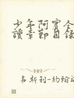 少年阿宾全文阅读章节目录