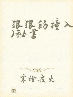 狠狠的撞入(h)秘书