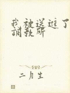 我被送进了私奴调教所