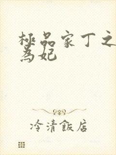 极品家丁之册母为妃