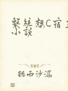 系统想C宿主的小说