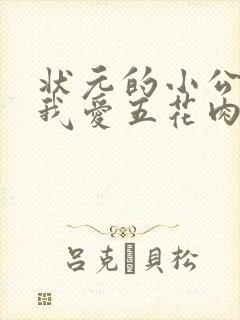 状元的小公主(我爱五花肉)