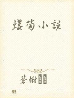 爆菊小说