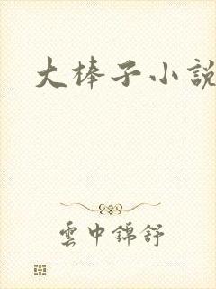 大棒子小说