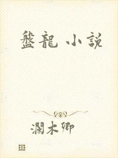 盘龙 小说