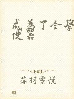 成为了全学校坐便器