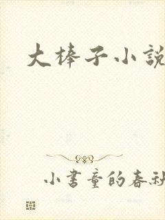 大棒子小说