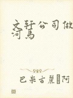 文轩公司做扩张河马