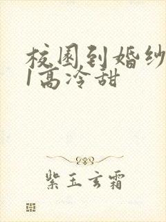 校园到婚纱1V1高冷甜