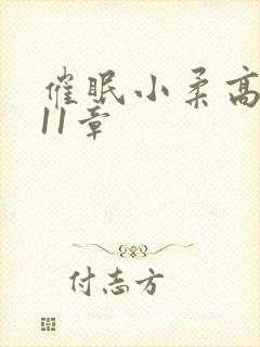 催眠小柔高达第11章