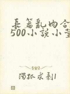 长篇乱肉合集乱500小说小莹