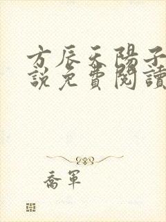 方辰天阳子的小说免费阅读