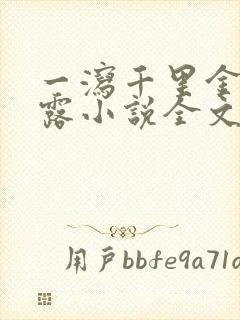 一泻千里金银花露小说全文免费阅读