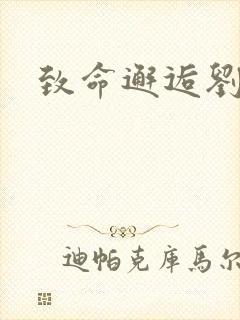 致命邂逅刘小寐