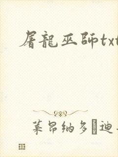屠龙巫师txt