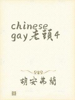 chinesegay老头4