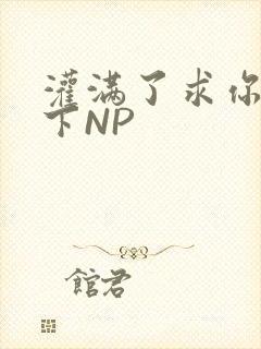 灌满了求你们停下NP