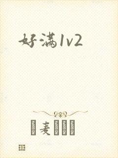 好满1v2