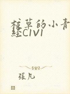 校草的小青梅不经C1V1