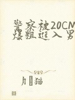 警察被20CM爆粗进入男男软件