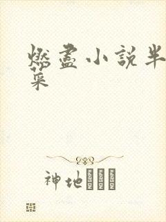 燃尽小说半截白菜