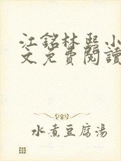 江铭林熙小说全文免费阅读