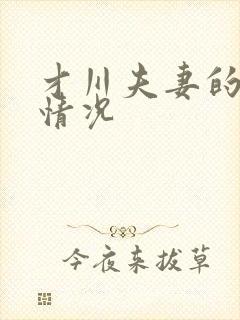 才川夫妻的恋爱情况