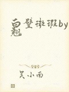 白璧微瑕by连翘