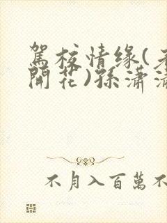 驾校情缘(老树开花)孙潇潇第一次趣笔阁