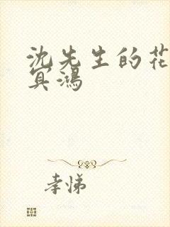 沈先生的花式调冥鸿