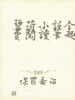 碧荷小说全文免费阅读笔趣阁