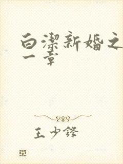 白洁新婚之夜第一章