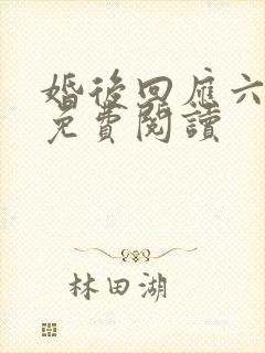 婚后回应六盲星免费阅读