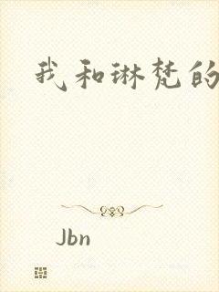 我和琳梵的故事