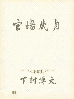 官场岁月